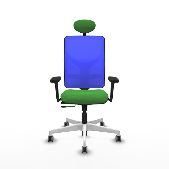 PIQUERAS Y CRESPO Silla de oficina Motilla con mecanismo Sincro/Traslack, Verde y Azul