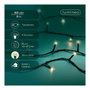 Lumineo Guirnalda Basic multifunción Blanco cálido 80 leds 6 m