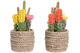DKD Home Decor Planta de Cactus en PE y EVA 9,5x9x18 cm