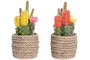 DKD Home Decor Planta de Cactus en PE y EVA 9,5x9x18 cm