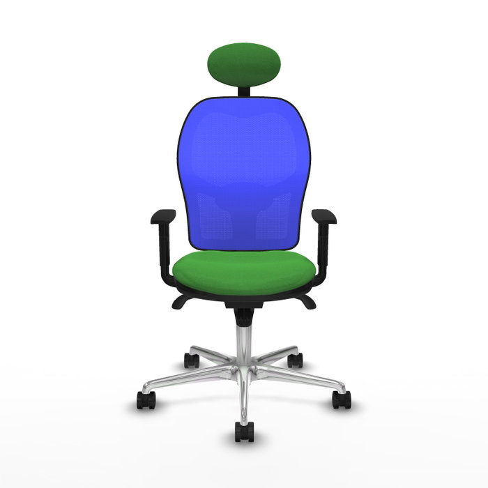 PIQUERAS Y CRESPO Silla de oficina Jorquera con mecanismo Sincro, Tela Verde y Malla Azul PIQUERAS Y CRESPO Silla de oficina Jorquera con mecanismo Sincro, Tela Verde y Malla Azul