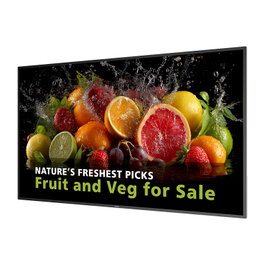 Philips 86BDL5050D Monitor LCD 86 pulg UHD 4K Android 14