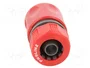 PROLINE Conector Recto de 1/2 pulgadas