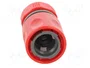 PROLINE Conector Recto de 1/2 pulgadas