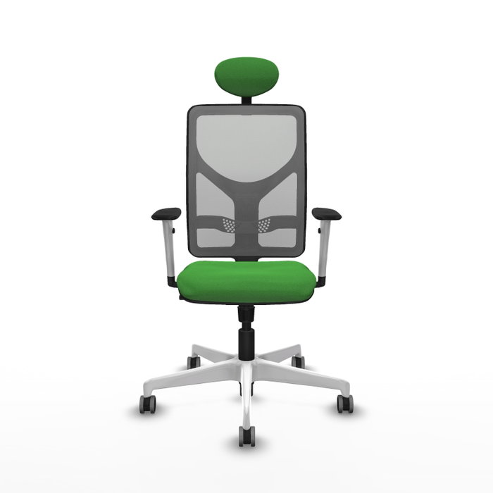 PIQUERAS Y CRESPO Silla de oficina Motilla con mecanismo Sincro, Verde y Gris PIQUERAS Y CRESPO Silla de oficina Motilla con mecanismo Sincro, Verde y Gris