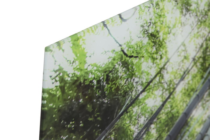 DKD Home Decor Cuadro de Cristal Templado Fotoimpreso Verde 150x100 cm DKD Home Decor Cuadro de Cristal Templado Fotoimpreso Verde 150x100 cm