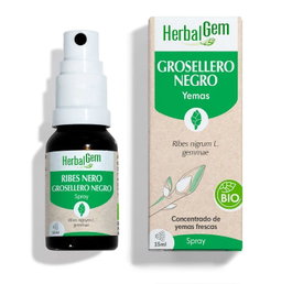 HERBALGEM GROSELLERO NEGRO spray 15 ml BIO