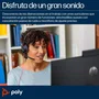 HP Poly Blackwire C5220 Auriculares con Micrófono USB-C, Cancelación de Ruido, Diadema Metálica Acolchada, Negro, para Negocios y Uso Diario