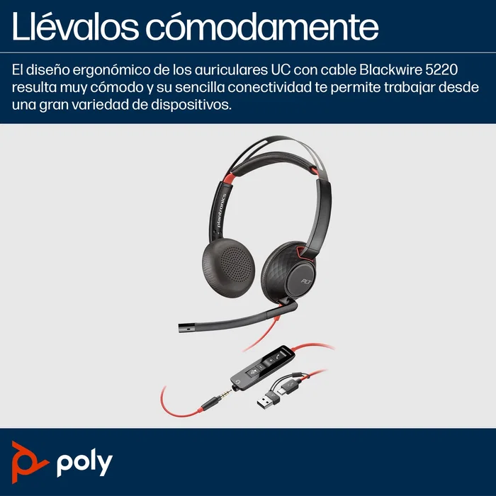 HP Poly Blackwire C5220 Auriculares con Micrófono USB-C, Cancelación de Ruido, Diadema Metálica Acolchada, Negro, para Negocios y Uso Diario