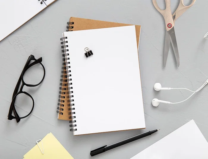 Liderpapel Tijera de Oficina Acero Inoxidable Mango Eco Fibra de Trigo 8' 21,5 cm en Blíster