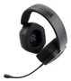 Trust GXT492 Carus Auriculares Gaming con Micrófono Negro