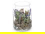 Ibergarden Tarro Cristal Lavanda 12 cm x 17 cm x 12 cm (Set de 12)