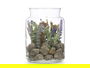 Ibergarden Tarro Cristal Lavanda 12 cm x 17 cm x 12 cm (Set de 12)