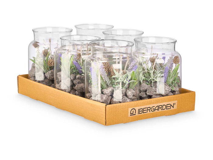 Ibergarden Tarro Cristal Lavanda 12 cm x 17 cm x 12 cm (Set de 12)