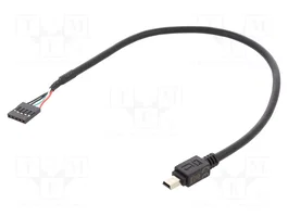 DeLOCK Cable USB 2.0 Mini-USB B a USB 2.0 hembra 30 cm Negro 83170
