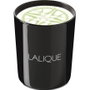 Lalique Vela Aromática Osmanthus Himalaya Nepal 190 g