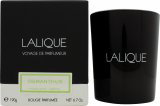 Lalique Vela aromática Osmanthus Himalaya Nepal 190 g