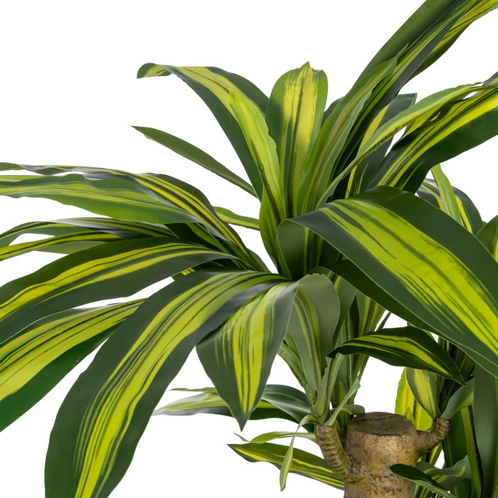 Planta Dracaena Verde Poliester 100 X 140 cm