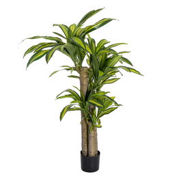 Planta Dracaena Verde Poliester 100 X 140 cm