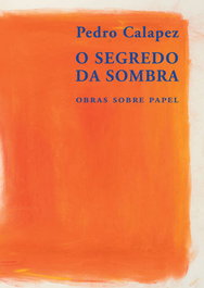 O SEGREDO DA SOMBRA - OBRAS SOBRE PAPEL, Pedro Calapez - DOCUMENTA