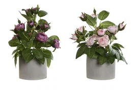 DKD Home Decor Planta de Rosas Surtida 16x16x25 cm