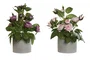 DKD Home Decor Planta de Rosas Surtida 16x16x25 cm