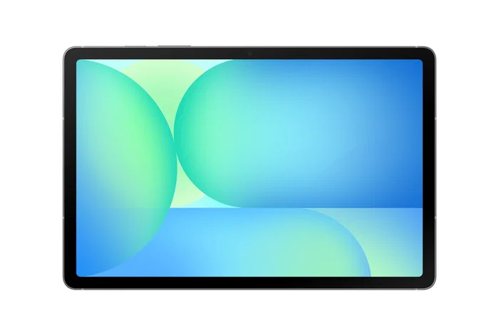 Samsung Galaxy Tab S10 FE Wi-Fi 12GB 256GB Gris