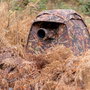 Buteo Buteo Mark III Brown