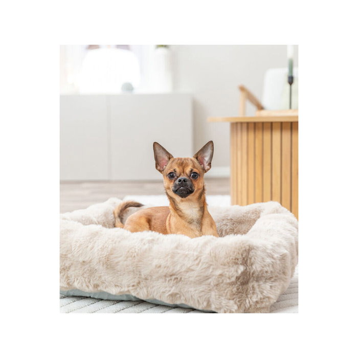 Cama para Perro Trixie Arena 100 × 70 CM