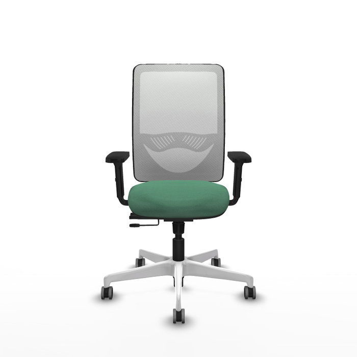 PIQUERAS Y CRESPO Silla de oficina Zulema con mecanismo Sincro/Traslack, Verde esmeralda y Blanco PIQUERAS Y CRESPO Silla de oficina Zulema con mecanismo Sincro/Traslack, Verde esmeralda y Blanco