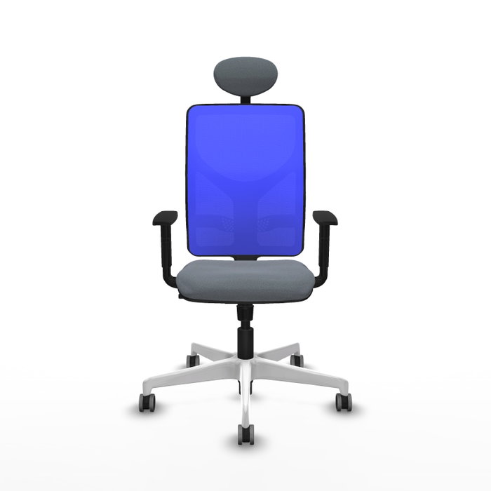 PIQUERAS Y CRESPO Silla de oficina Motilla con mecanismo Sincro, Gris y Azul PIQUERAS Y CRESPO Silla de oficina Motilla con mecanismo Sincro, Gris y Azul