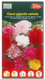 Semillas Fito Flores Clavel Gigante Variado