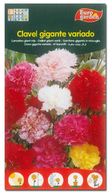 Semillas Fito Flores Clavel Gigante Variado Semillas Fito Flores Clavel Gigante Variado