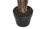 DKD Home Decor Árbol de Ficus Verde 80x80x120 cm