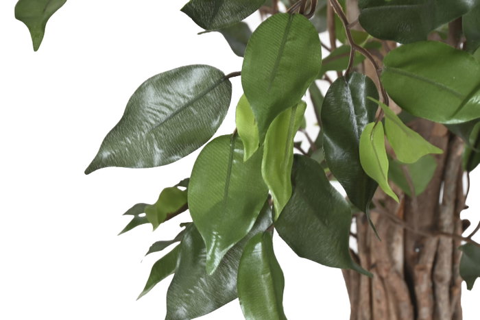 DKD Home Decor Árbol de Ficus Verde 80x80x120 cm