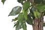 DKD Home Decor Árbol de Ficus Verde 80x80x120 cm