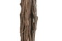 DKD Home Decor Árbol de Ficus Verde 80x80x120 cm