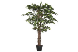 DKD Home Decor Árbol de Ficus Verde 80x80x120 cm
