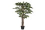 DKD Home Decor Árbol de Ficus Verde 80x80x120 cm