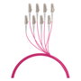 EFB Elektronik Cable de fibra óptica OM4 8G (1x8) LC-LC 50m