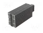 STEGO Elemento calefactor HG 140 IP20