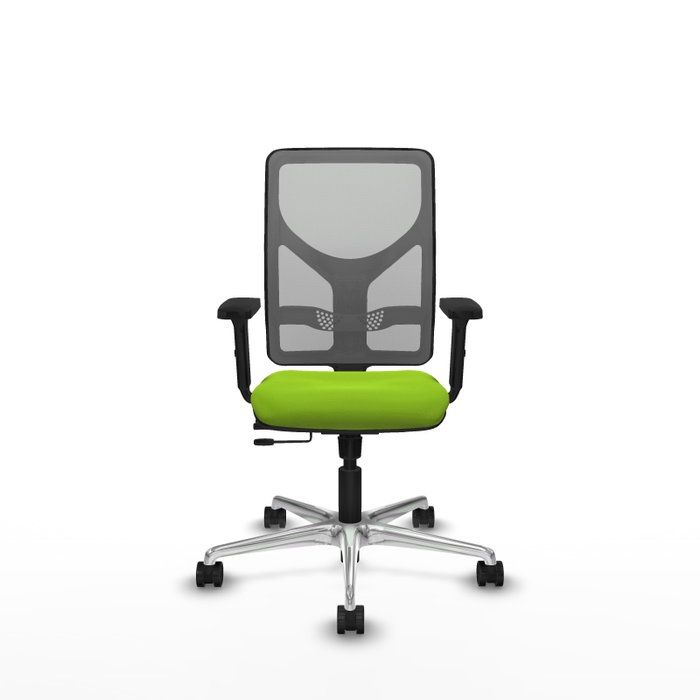 PIQUERAS Y CRESPO Silla de oficina Motilla con mecanismo Sincro/Traslack, Pistacho y Gris PIQUERAS Y CRESPO Silla de oficina Motilla con mecanismo Sincro/Traslack, Pistacho y Gris