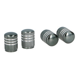 Lifetime Set 4 Tapones Rueda Coche Gris Aluminio Rosca 17x10mm