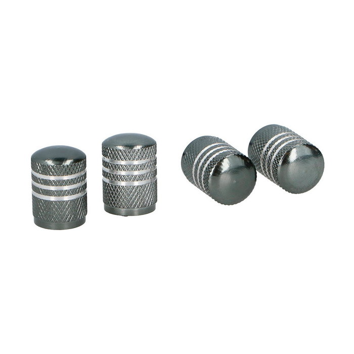 Lifetime Set de 4 tapones para rueda de coche gris plomo