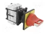 Schneider Electric TeSys VARIO Seccionador principal de seguridad 32A de 3 polos
