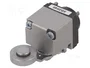 TELEMECANIQUE SENSORS ZCKD16 Interruptor final con palanca R 34,5mm