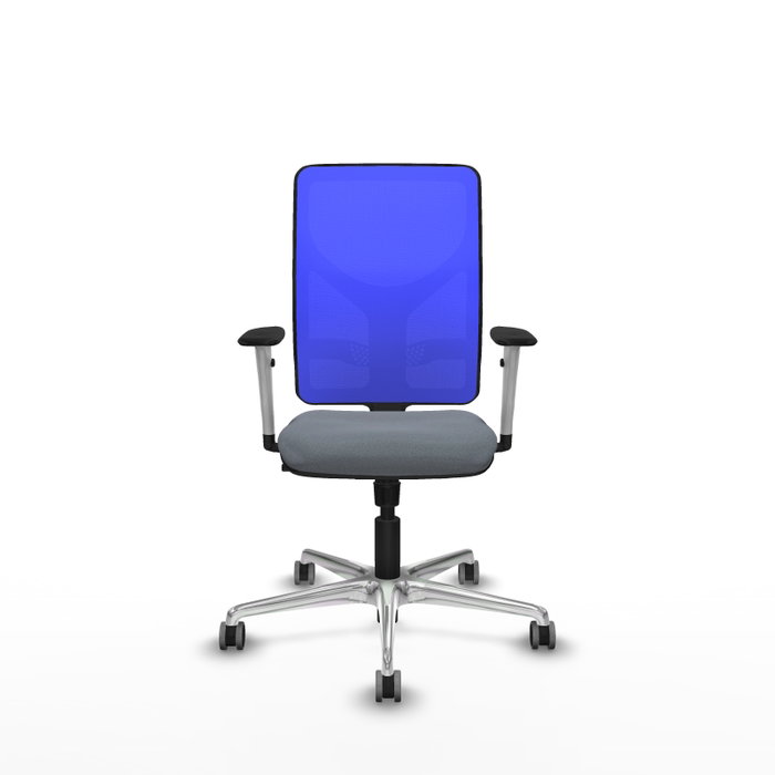 PIQUERAS Y CRESPO Silla de oficina Motilla con mecanismo Sincro, Gris y Azul PIQUERAS Y CRESPO Silla de oficina Motilla con mecanismo Sincro, Gris y Azul