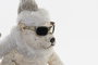 DKD Home Decor Figura Navidad Oso Esquiando Blanco Poliester Porexpan 19 x 31 x 30 cm