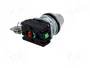 PROMET Interruptor Rotativo con Llave NEF30-BXY 30mm NC + NA