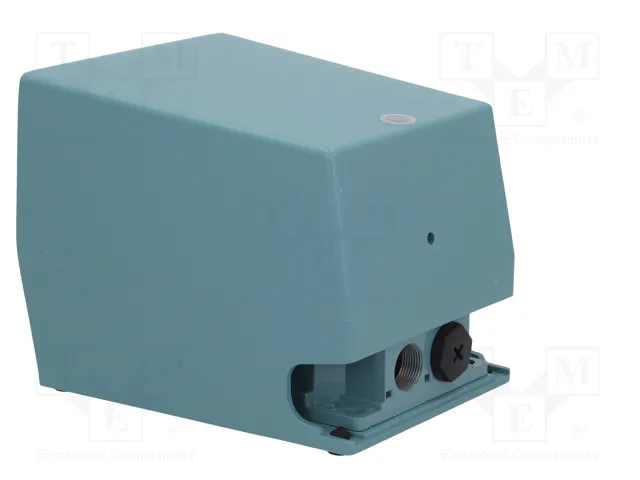 SCHNEIDER ELECTRIC Interruptor de pie azul IP66